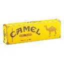 CAMEL KING BOX